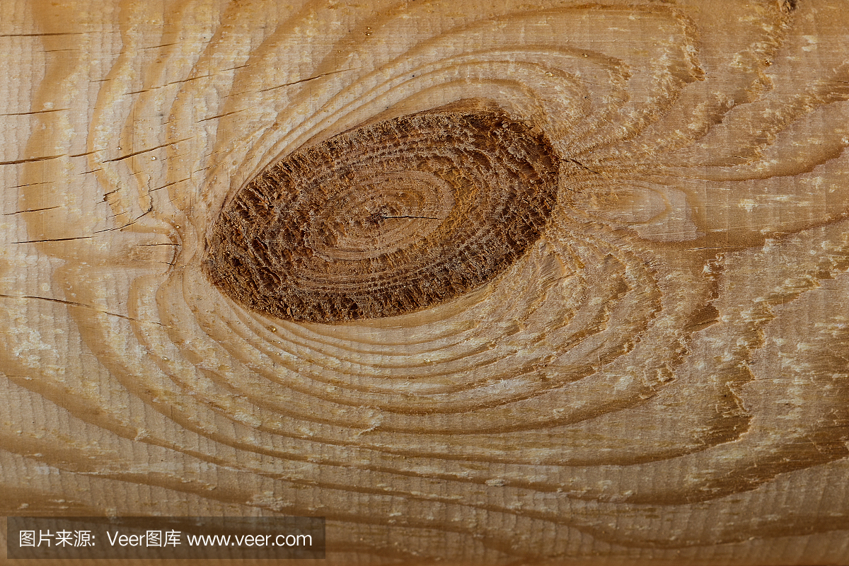 松木作为背景纹理的原木